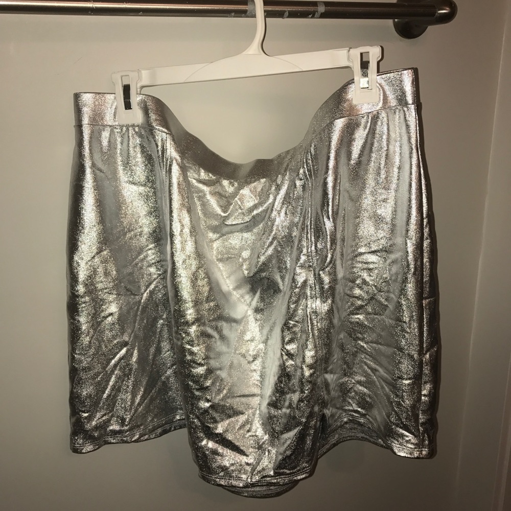 Silver Metallic Skirt